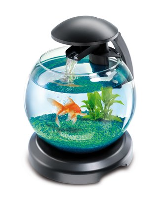Tetra Cascade Globe аквариум для петушка или золотой рыбки, черный 6,8 л 211827 фото