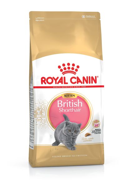 Royal Canin British Kitten корм для котят британской короткошерстной, 400 г 2566004/816526 фото