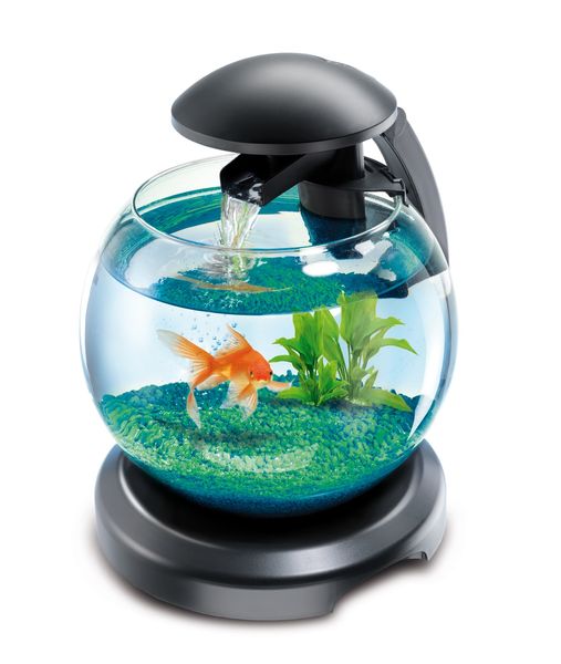 Tetra Cascade Globe аквариум для петушка или золотой рыбки, черный 6,8 л 211827 фото